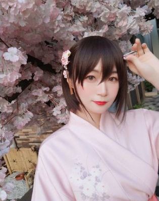 花蝴蝶电视剧全集播放