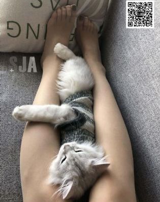 名侦探柯南第11个前锋