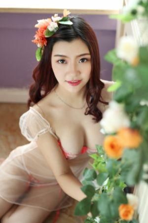 暖男的爱情与战争