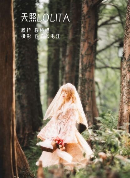 战火连天电视剧全集免费观看